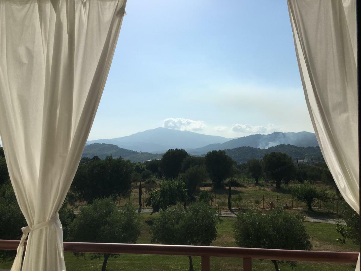 Corbezzolo Bed and Breakfast Vallo della Lucania Buitenkant foto