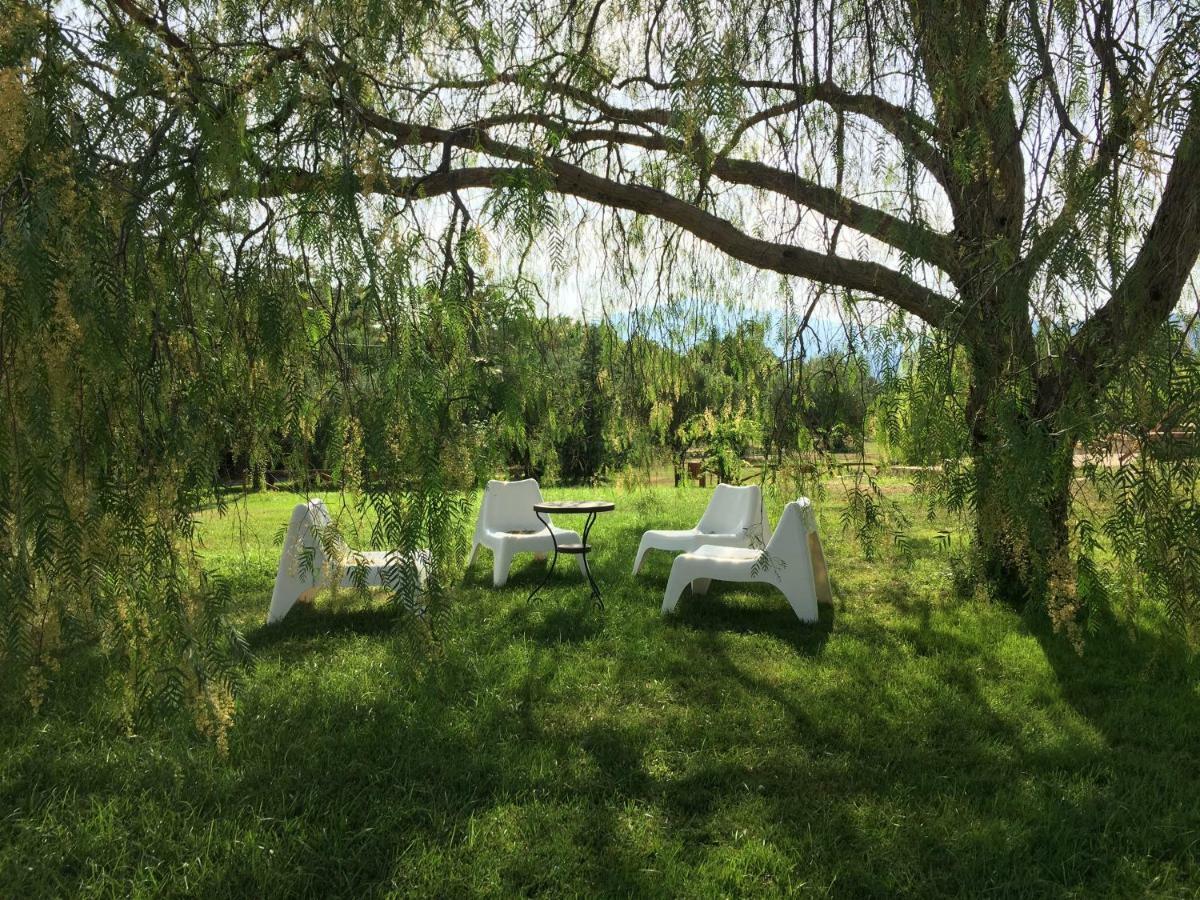 Corbezzolo Bed and Breakfast Vallo della Lucania Buitenkant foto